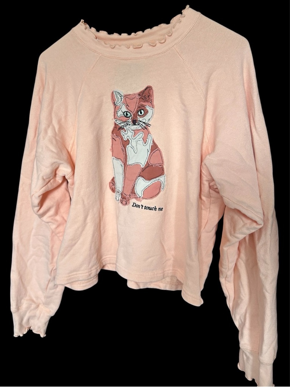 Teddy Fresh Don't Touch Me Cat Appliqué cropped Sweatshirt size L Peach Ruffle